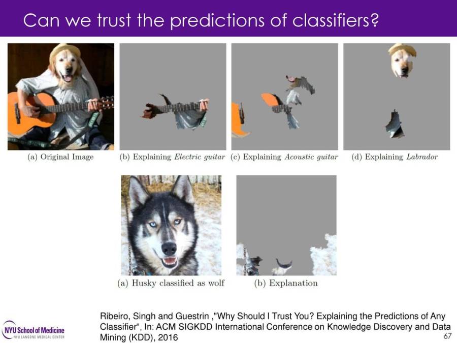 can_we_trust_the_predictions_of_classifiers.jpg